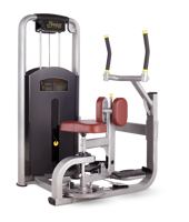 BRONZE GYM MV-011 Торс-машина (КОРИЧНЕВЫЙ)